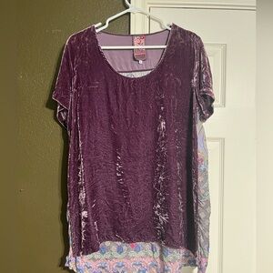 Purple velvet Johnny Was top with a scarf material back. Size small